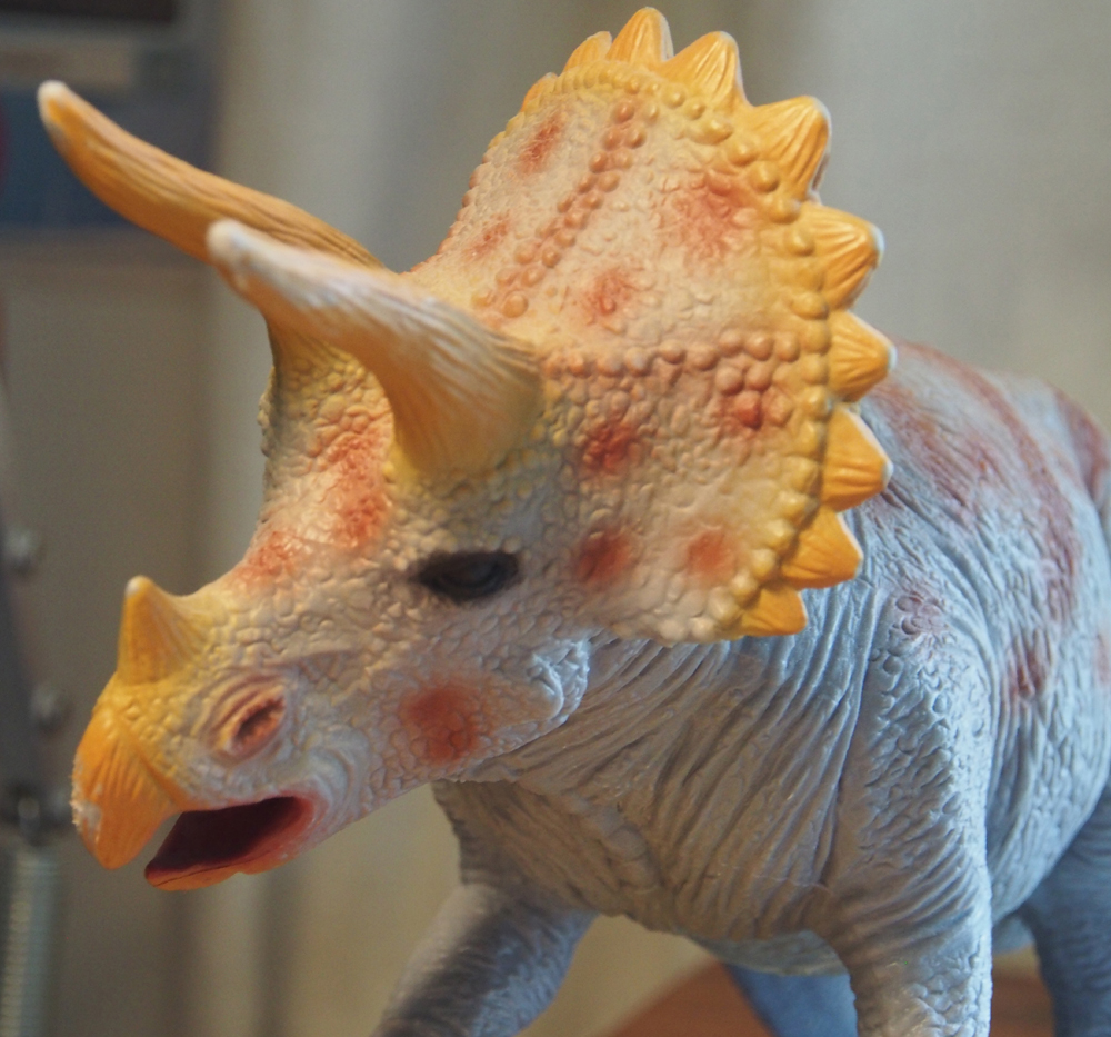 Mrs Triceratops