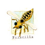09 Priscilla