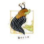 10 Boris