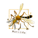 11 Matilda