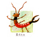 12 edna