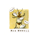 13 Weevil