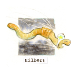 17 Hilbert